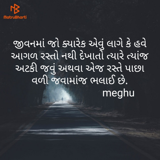 Gujarati Thought by Meghna Sanghvi : 111634493
