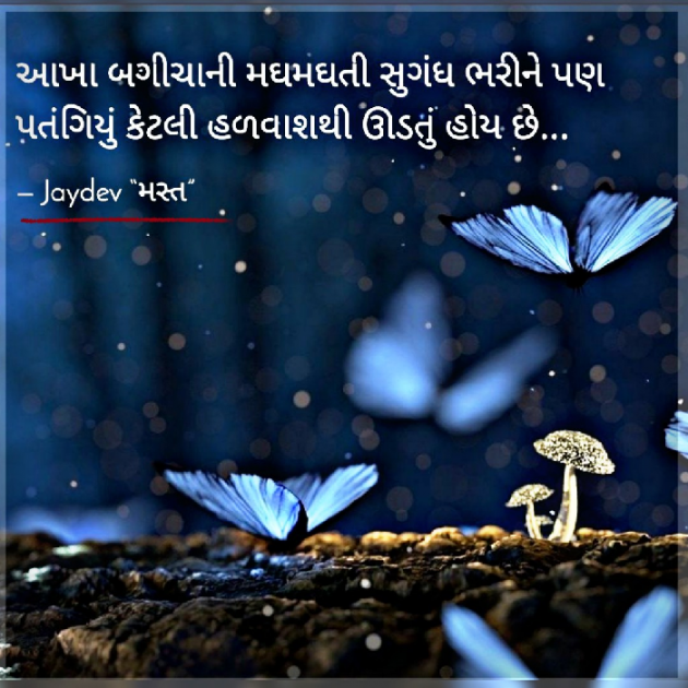 Gujarati Blog by JAYDEV PUROHIT : 111634614
