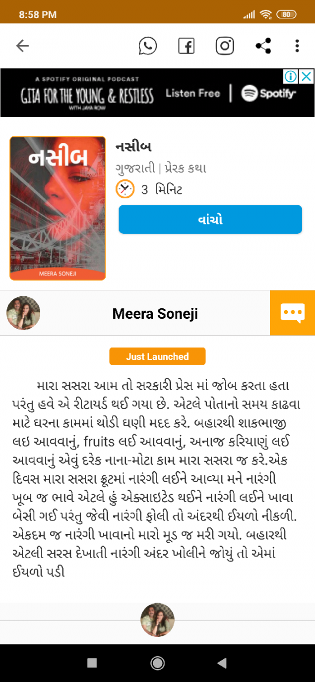 Gujarati Blog by Meera Soneji : 111635048