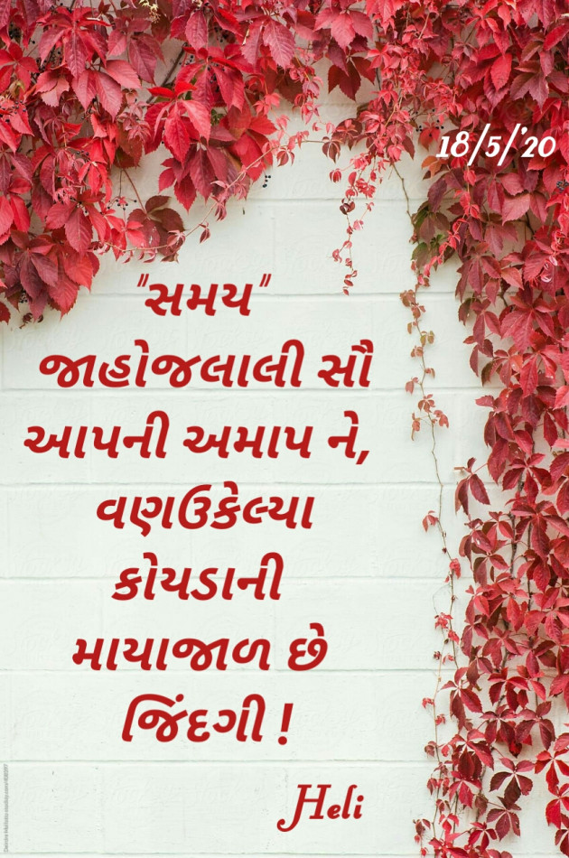 Gujarati Quotes by Heli : 111636485