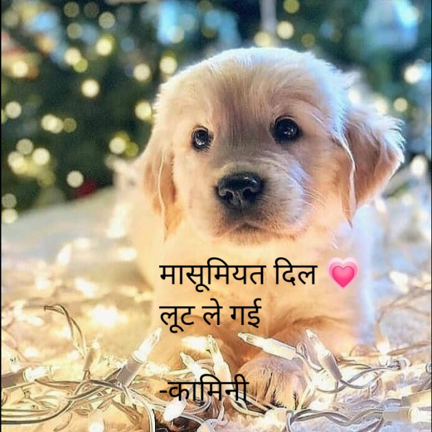 Hindi Whatsapp-Status by कामिनी : 111636589