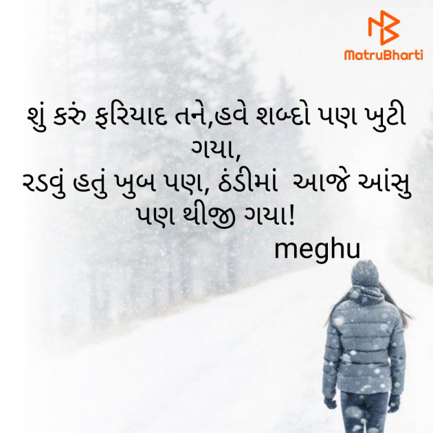 Gujarati Blog by Meghna Sanghvi : 111637107