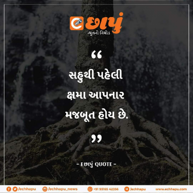 Gujarati Quotes by Siddharth Chhaya : 111638635