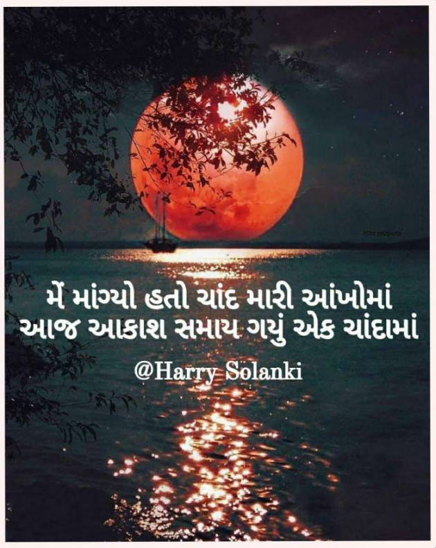Gujarati Romance by Harry Solanki : 111638984