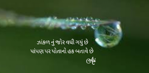 Gujarati Whatsapp-Status by Asmita Ranpura : 111639193
