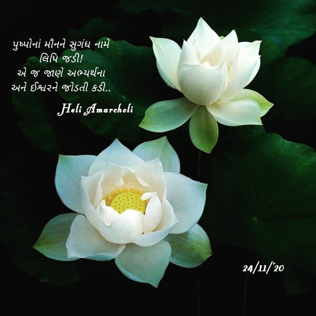 Gujarati Quotes by Heli : 111640063