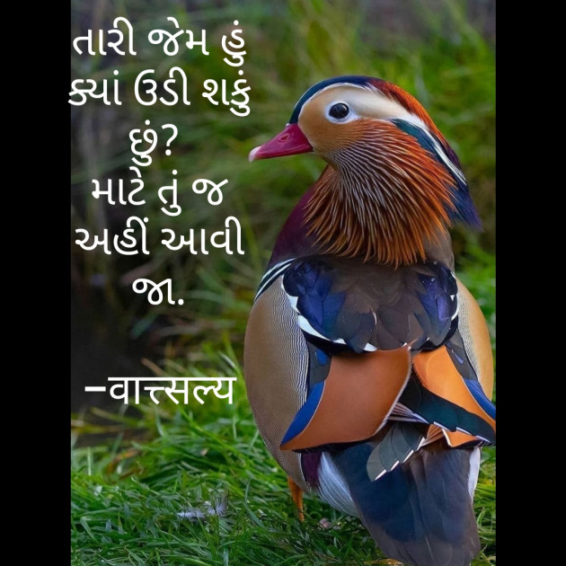 Gujarati Good Night by वात्सल्य : 111640247