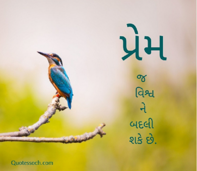 Gujarati Quotes by Quotessoch.com : 111640437