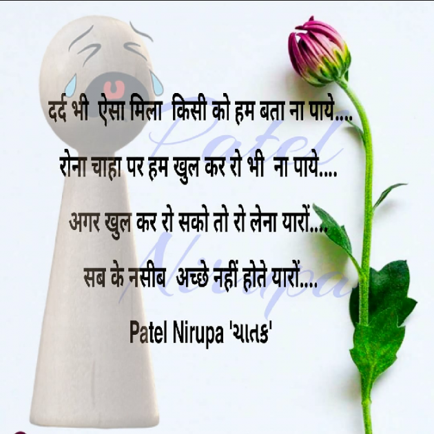 Hindi Blog by Patel Nirupa ચાતક : 111641035