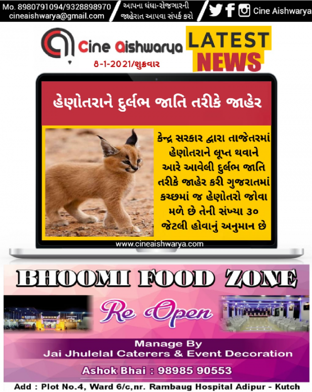 Gujarati News by Ajay Khatri : 111641212