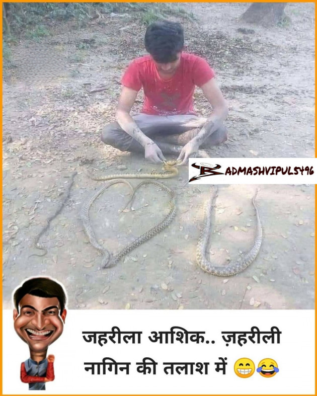 Hindi Jokes by Thakorvipulsolgama (badmashvipul5496) : 111642515