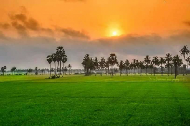 Hindi Motivational by Amrita shukla : 111642542