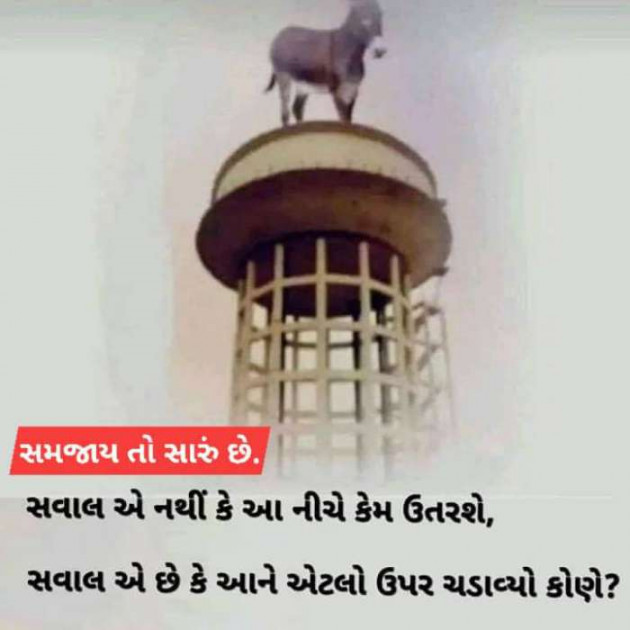 Gujarati Microfiction by Anurag Basu : 111642827