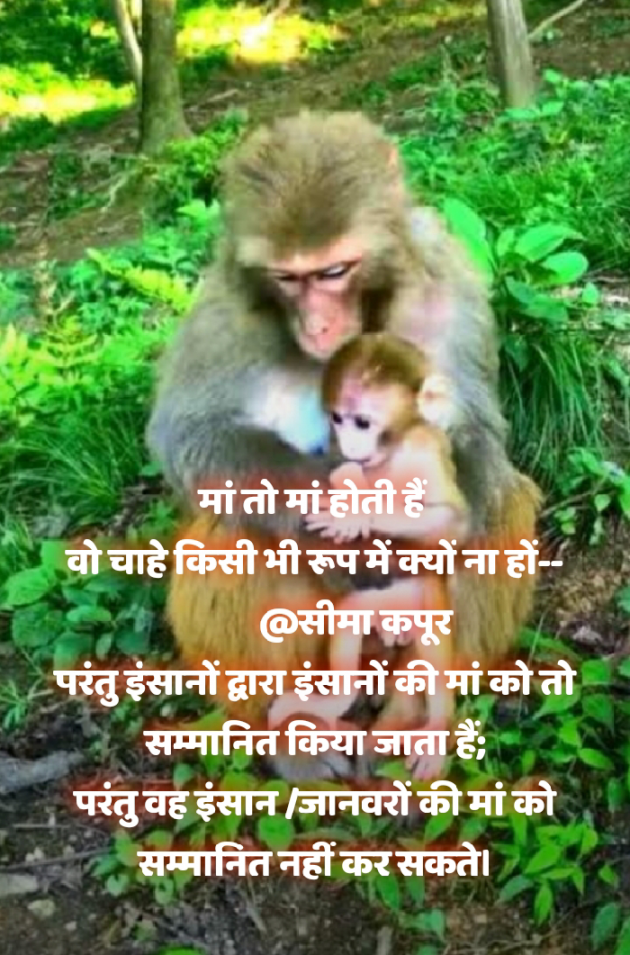 Hindi Motivational by सीमा कपूर : 111643126