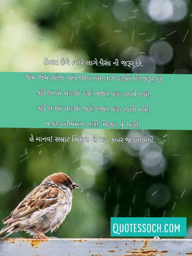 Gujarati Quotes by Quotessoch.com : 111644020