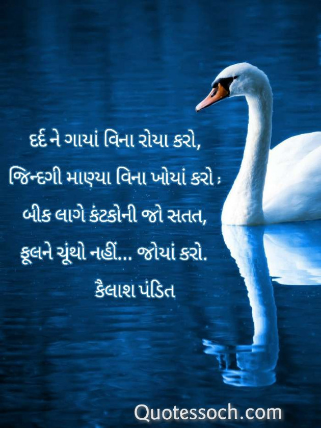 English Shayri by Quotessoch.com : 111644669