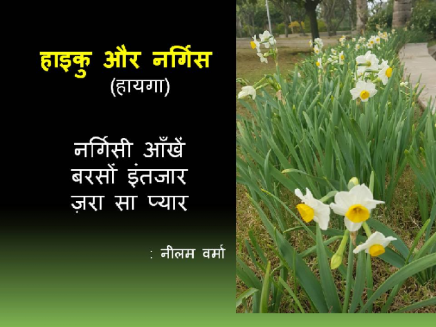 Hindi Poem by Neelam Verma : 111644833