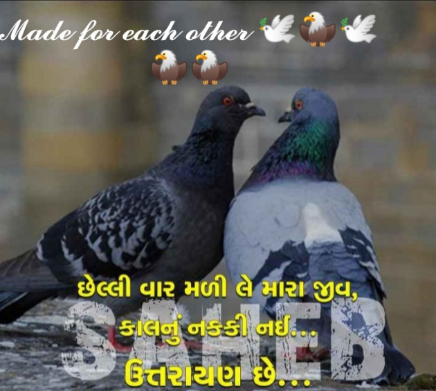 English Romance by જય રૂપાવેલ કરીયાણા : 111645317