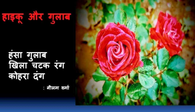 Hindi Poem by Neelam Verma : 111645702