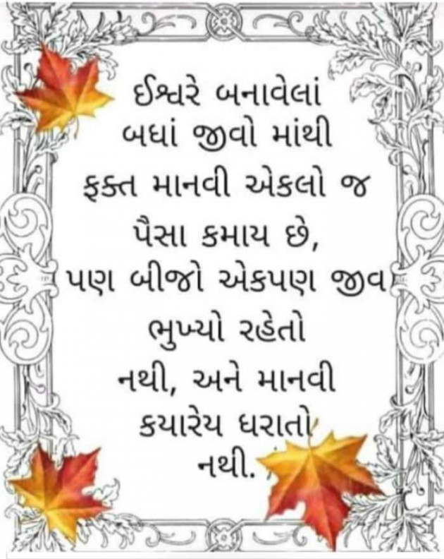 Gujarati Thought by Samat Sura : 111645816