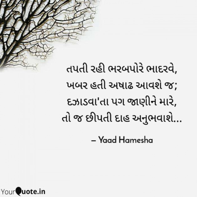 Gujarati Quotes by Amita : 111645853