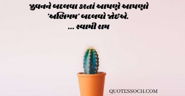 Gujarati Quotes by Quotessoch.com : 111646562