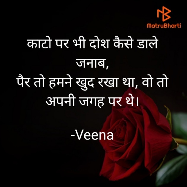 Hindi Romance by Veena : 111646675