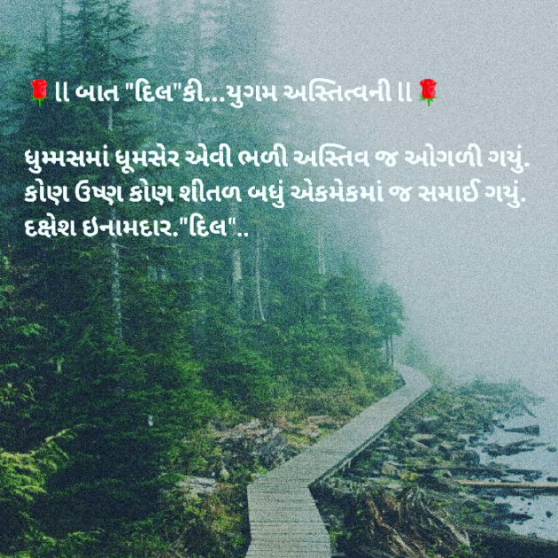 Gujarati Blog by Dakshesh Inamdar : 111647196