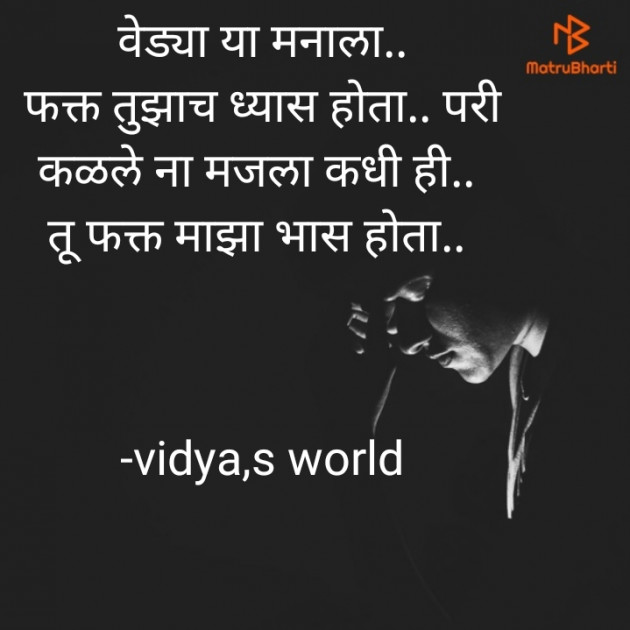 Marathi Shayri by vidya,s world : 111647454