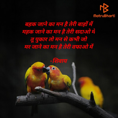 Post by शिवाय on 19-Jan-2021 11:43pm