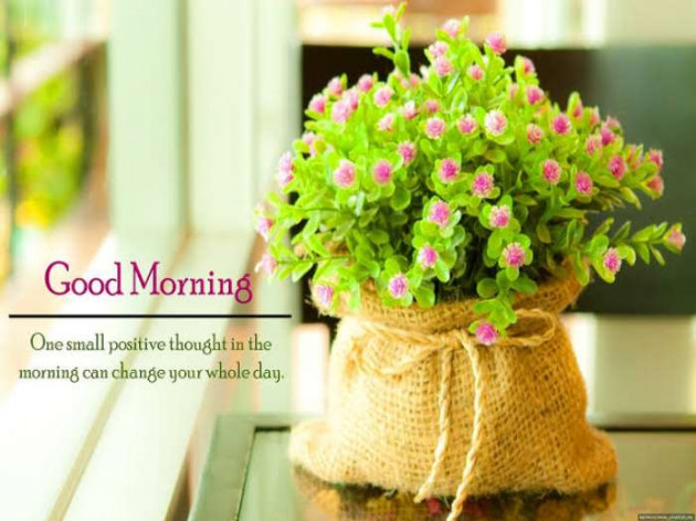 English Good Morning by Shweta Gupta : 111647584