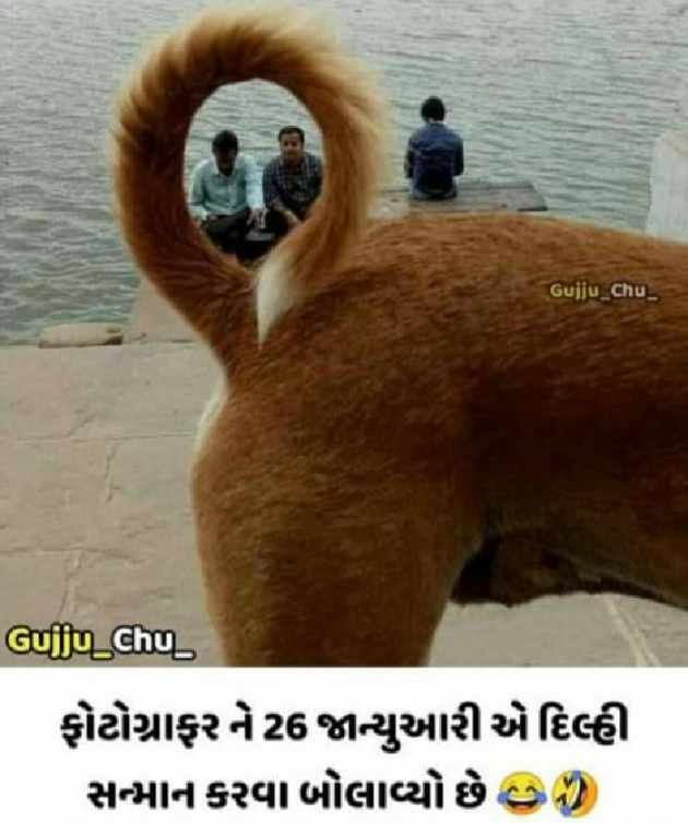 Gujarati Funny by જપલું, પપલું : 111647627