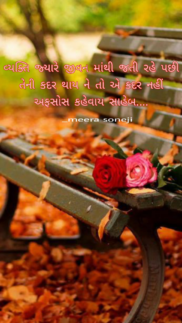 Gujarati Blog by Meera Soneji : 111647857