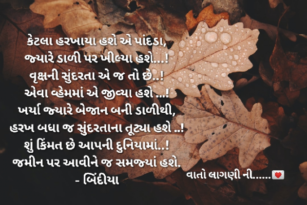 Gujarati Quotes by બિંદી પંચાલ : 111648095