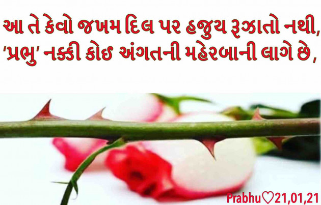 Gujarati Blog by પ્રભુ : 111648169