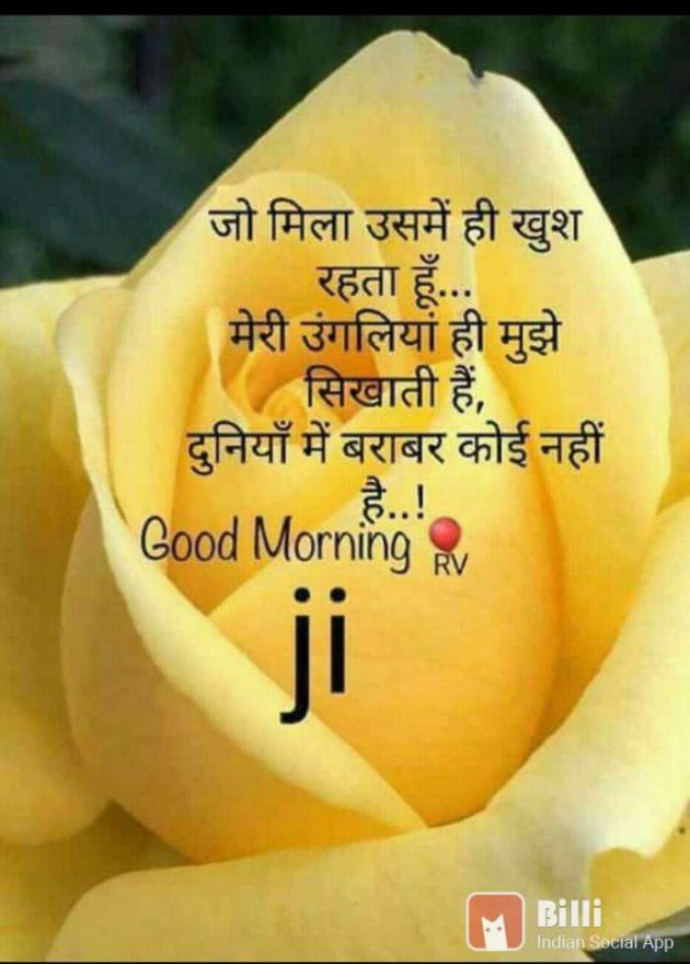 Hindi Good Morning by RACHNA ROY : 111648674