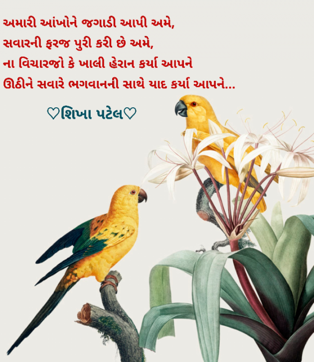 English Shayri by Shikha Patel : 111648996