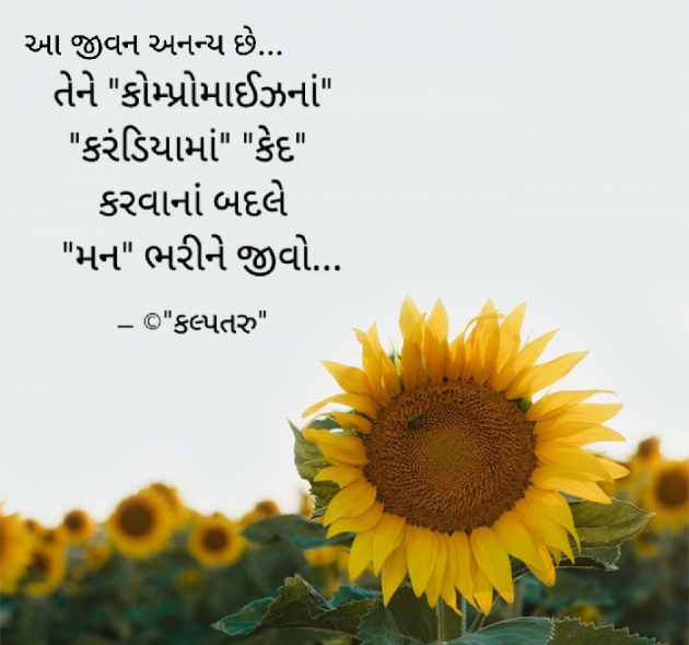 Gujarati Motivational by Dhavalkumar Padariya Kalptaru : 111649679