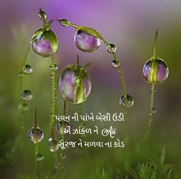 Gujarati Whatsapp-Status by Asmita Ranpura : 111650155