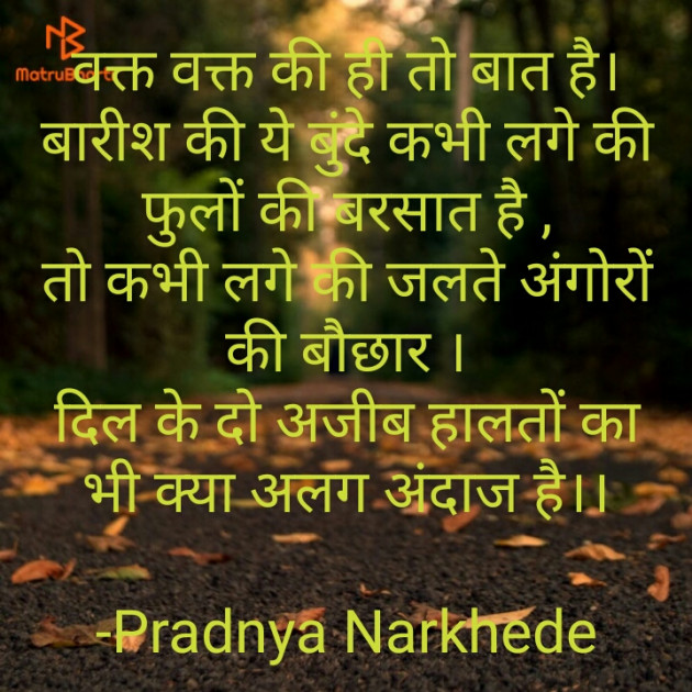 Hindi Shayri by Pradnya Narkhede : 111651019