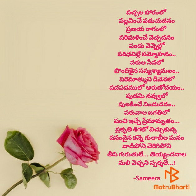 Telugu Good Evening by Sameera : 111651397
