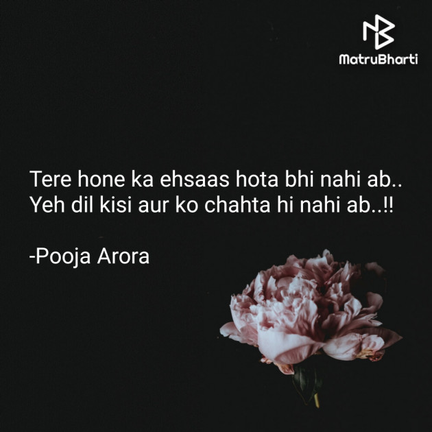 Hindi Shayri by Pooja Arora : 111652389