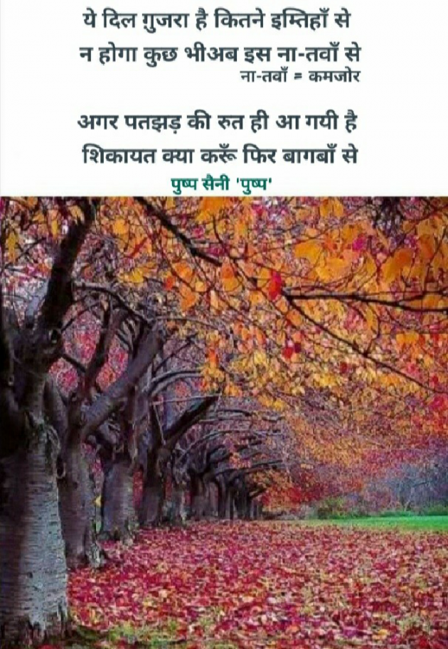 Hindi Poem by Pushp Saini : 111653708