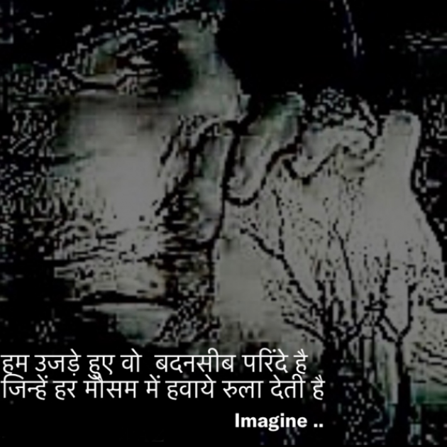 English Shayri by Imagine : 111654919