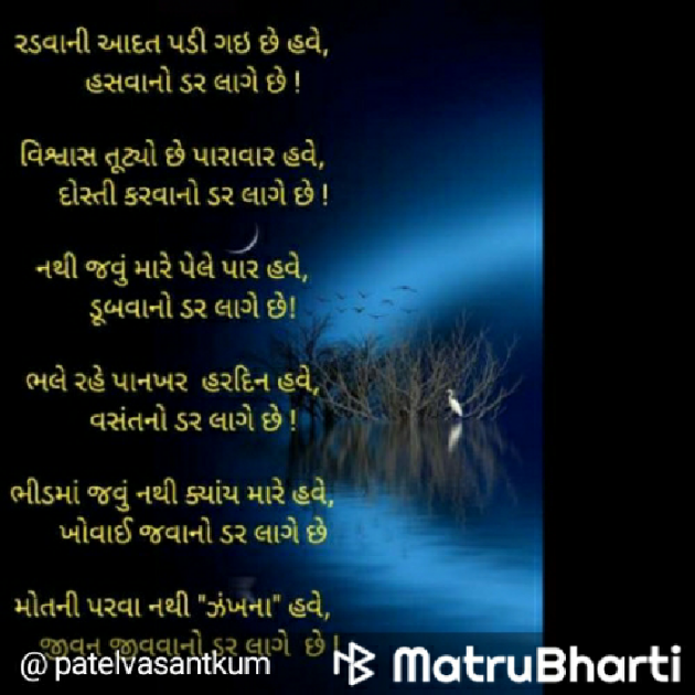 Gujarati Quotes by V.M.PATEL : 111655468