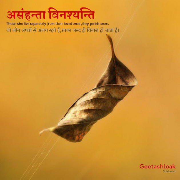 Hindi Motivational by निशब्द ## : 111655787
