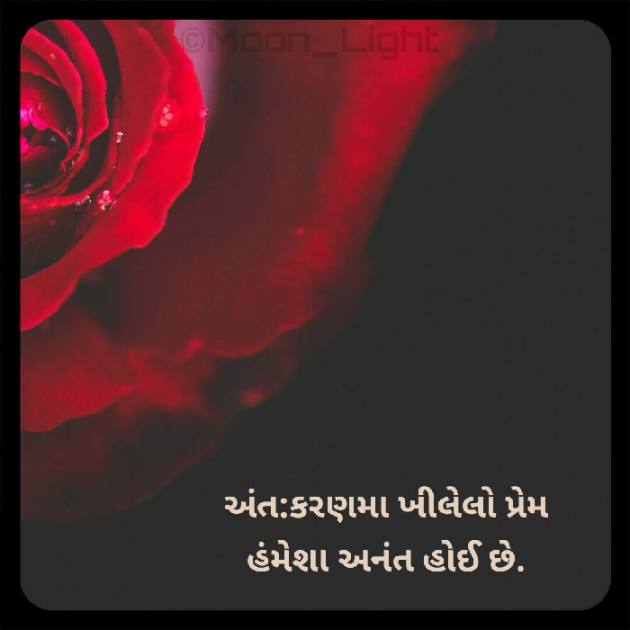 Gujarati Shayri by SENTA SARKAR : 111656921