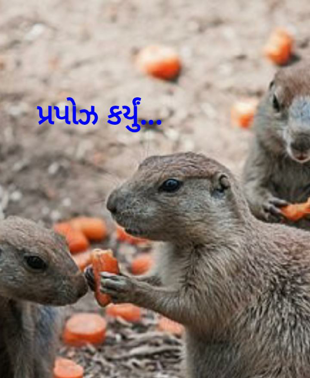 Gujarati Good Evening by Anubhav ni yaad hamesha : 111657880