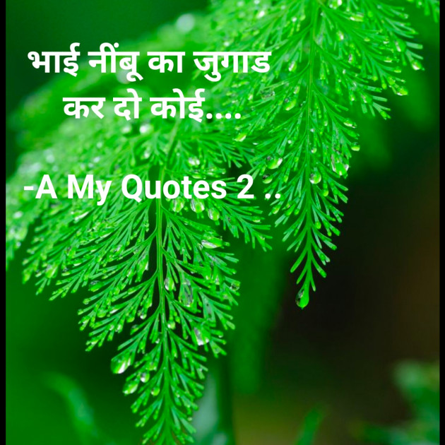 Hindi Shayri by A My Quotes 2 .. : 111658487