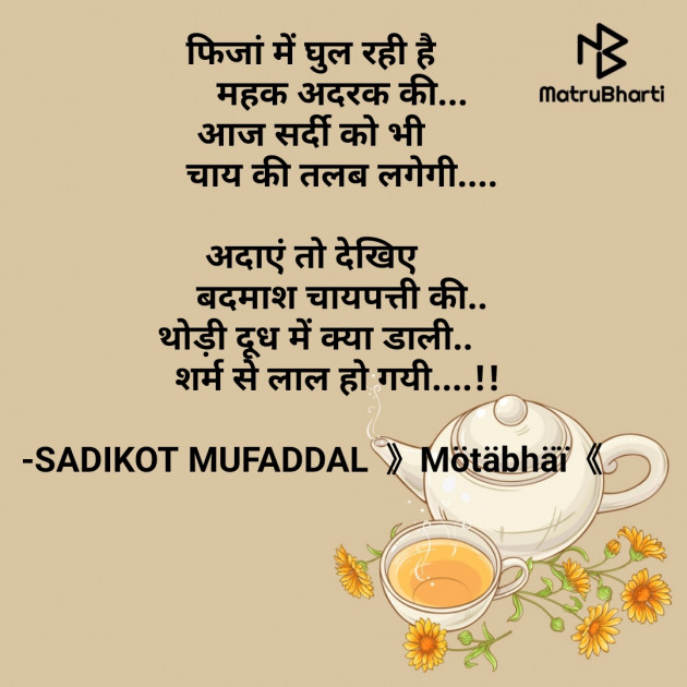 Hindi Good Evening by SADIKOT MUFADDAL 《Mötäbhäï 》 : 111660105